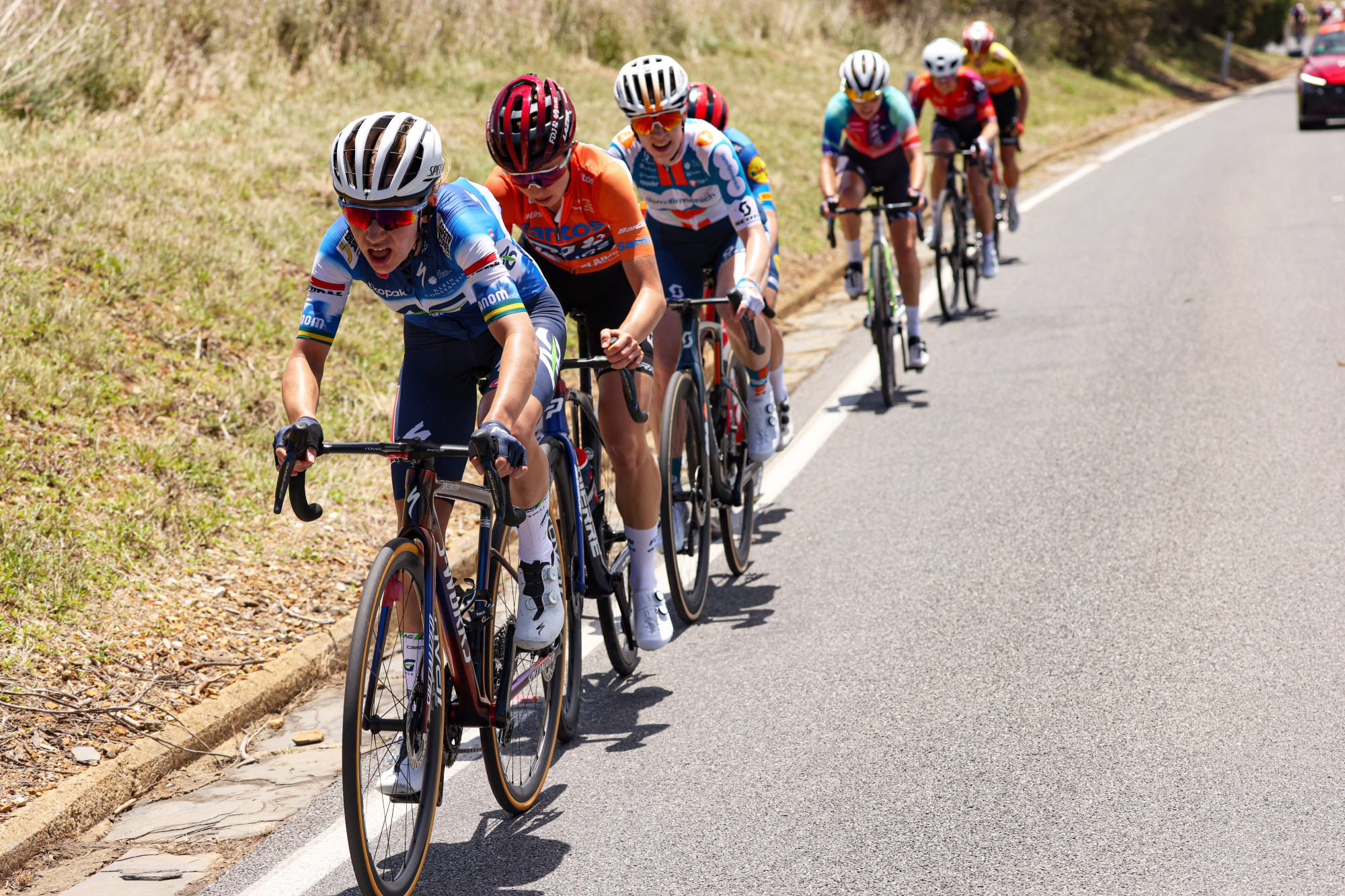 sprintcyclingagency 0757257 1 originali
