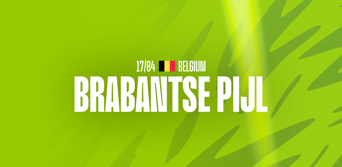 brabantse web
